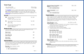 Curriculum Vitae (CV) Resume