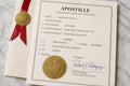Apostille & Document Assistance